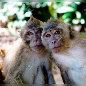 Meet your Posher, Kacey